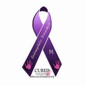 13124538_1016891105068739_2619415221843487211_n